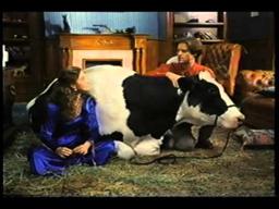 RKO Trailer of Milk & Money