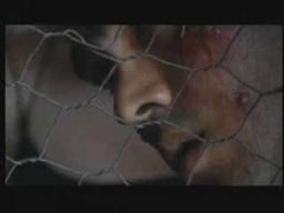 Stringer trailer