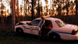 Hayride Trailer 1