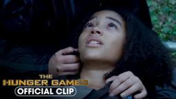 Rue's Death and District 11 Uprising | The Hunger Games