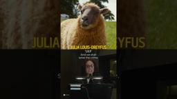 Meet The Flock