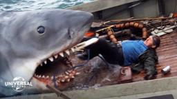 The Final Shark Attack