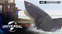Final Face-Off With the Shark in 4K Ultra HD