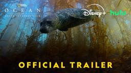 Official US Trailer