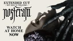 Watch at Home Now