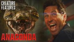 Epic Giant Anaconda Explosion