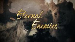 Eternal Enemies