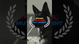 Mutt Moment
