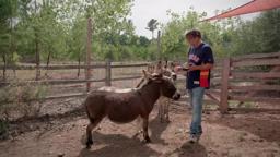 Où en êtes-vous, Richard Linklater ? | Cinéma | Centre Pompidou