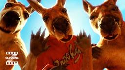 Kangaroos Can Rap?