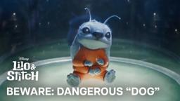 Beware: Dangerous "Dog"