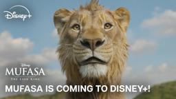 On Disney + March 26