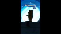 Day In The Life