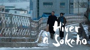 Winter in Sokcho