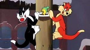 Putty Tat Trouble