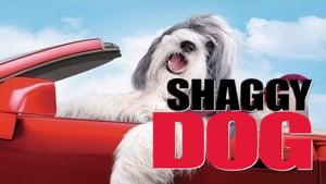 The Shaggy Dog