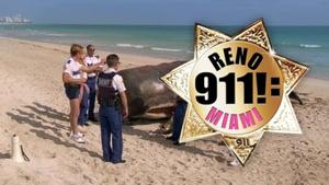 Reno 911!: Miami