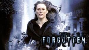 The Forgotten