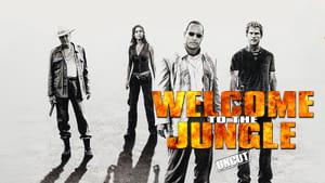The Rundown