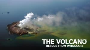 The Volcano: Rescue from Whakaari