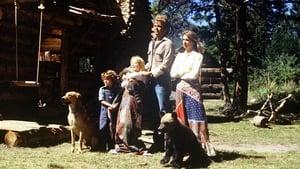 Adventures of the Wilderness Family 3