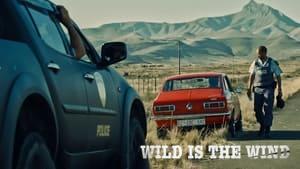 Wild Is the Wind