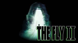 The Fly II