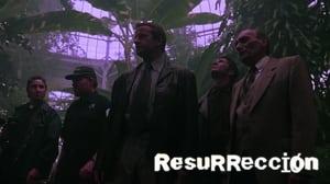 Resurrection