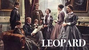 The Leopard