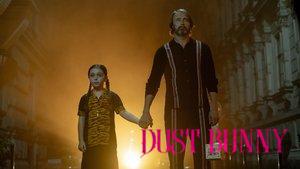Dust Bunny