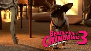 Beverly Hills Chihuahua 3: Viva la Fiesta!