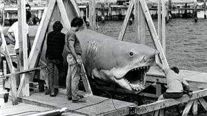 The Shark Is Still Working
