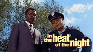 In the Heat of the Night