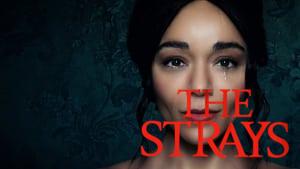 The Strays