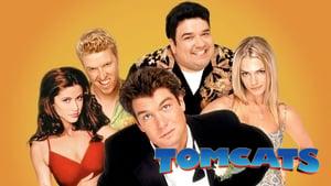 Tomcats