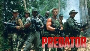 Predator
