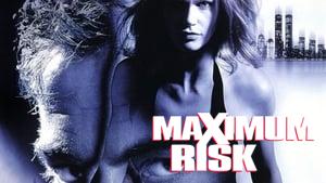 Maximum Risk