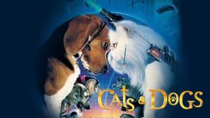 Cats & Dogs