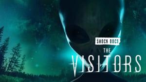 The Visitors