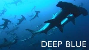 Deep Blue