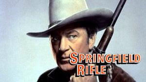 Springfield Rifle
