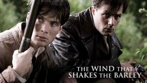 The Wind That Shakes the Barley