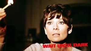 Wait Until Dark