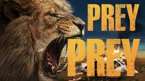 Prey