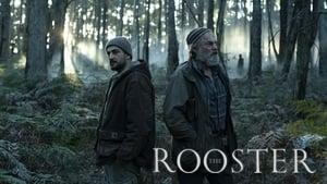 The Rooster