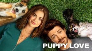 Puppy Love