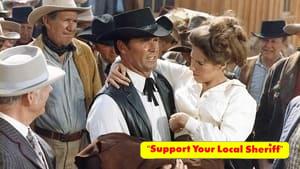 Support Your Local Sheriff!