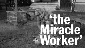 The Miracle Worker