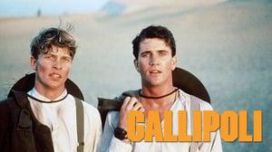 Gallipoli