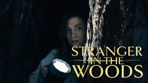 Stranger in the Woods